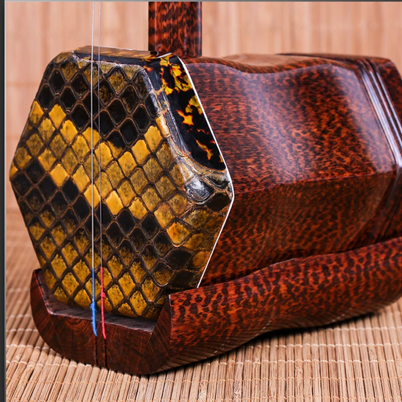 Chinese Two Strings Violin Pro - огляд і ціна Erhu Violin Chinese