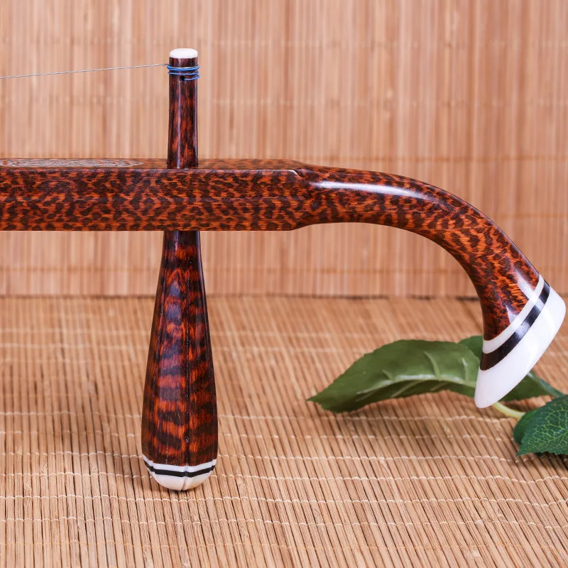 Chinese Two Strings Violin Pro - огляд і ціна Erhu Violin Chinese