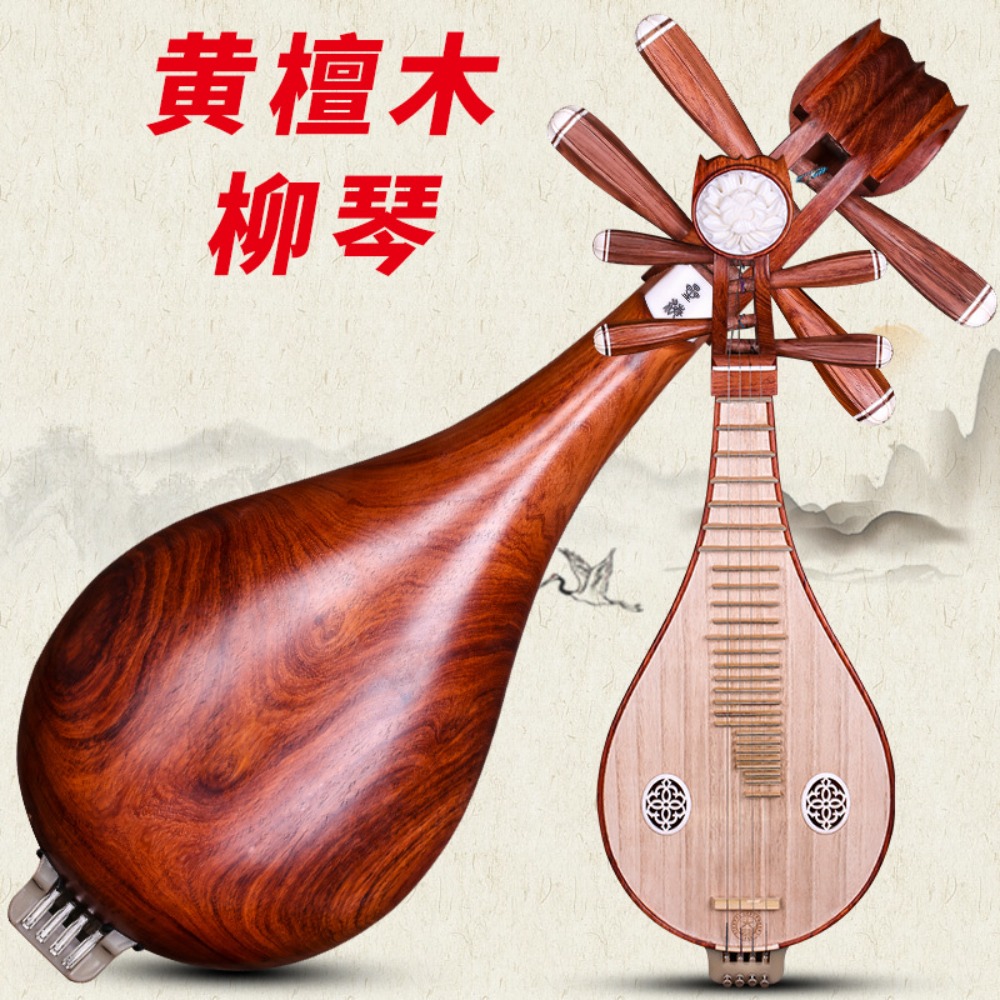Beijing Xinghai 8414-A Rosewoo - огляд і ціна Musical Instrument Music