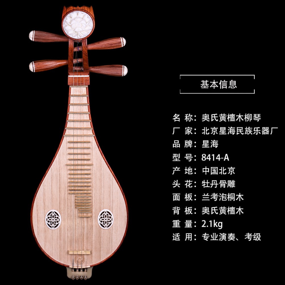 Beijing Xinghai 8414-A Rosewoo - огляд і ціна Musical Instrument Music