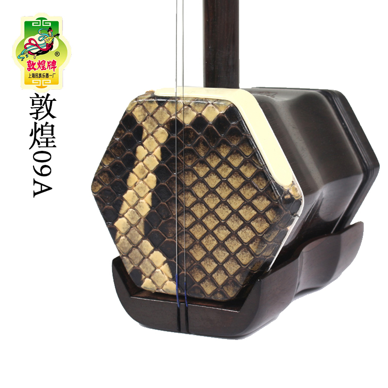 Dunhuang Professional Erhu 09A - огляд і ціна Erhu Violin Chinese